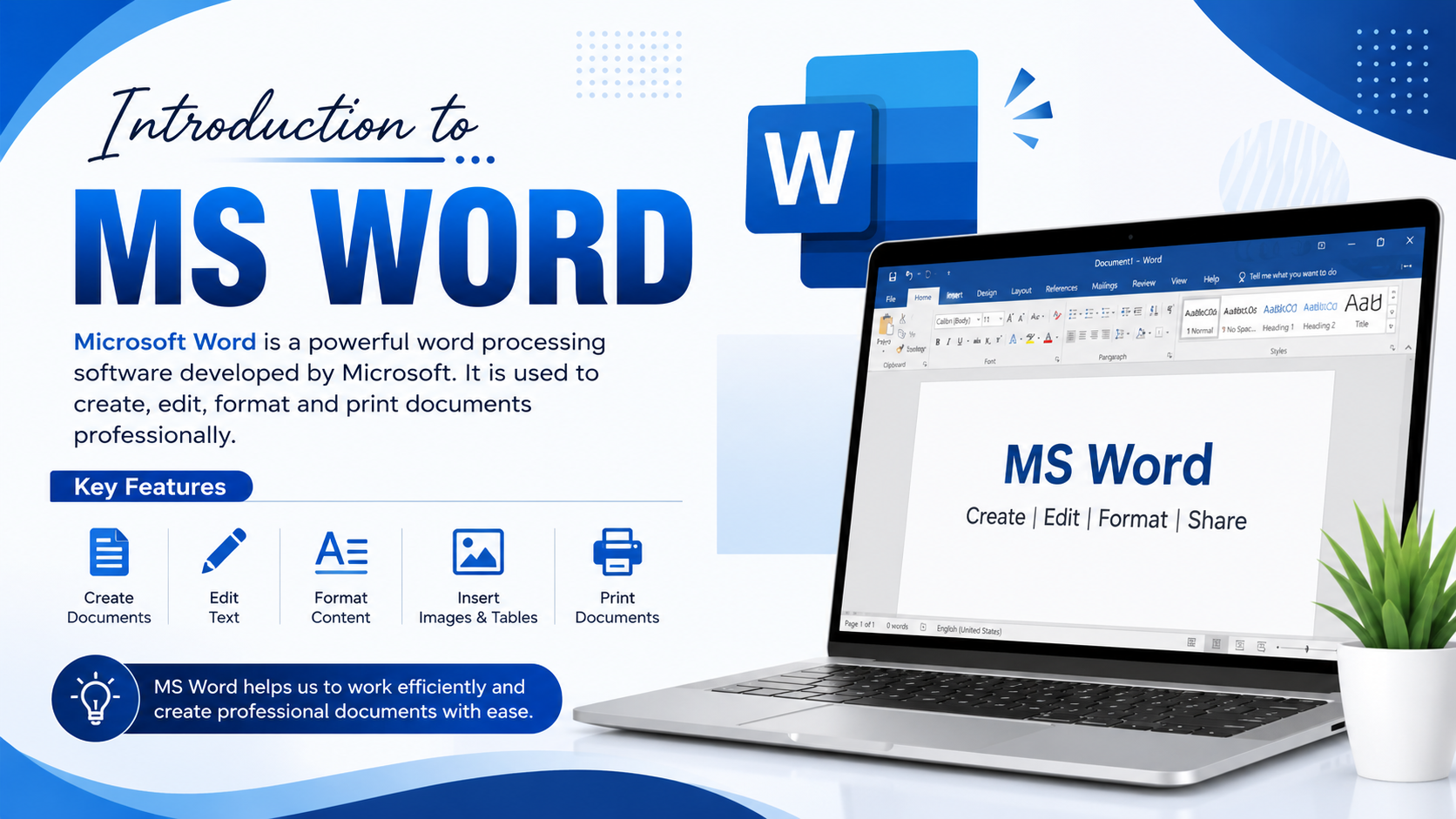 What is MS Word?